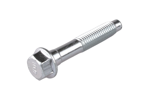 Bullone/Vite - TED22513 TEDGUM