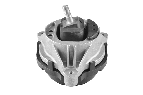 Sospensione, Motore - TED27306 TEDGUM