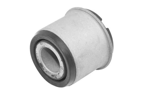 Mounting, axle beam - TED30369 TEDGUM