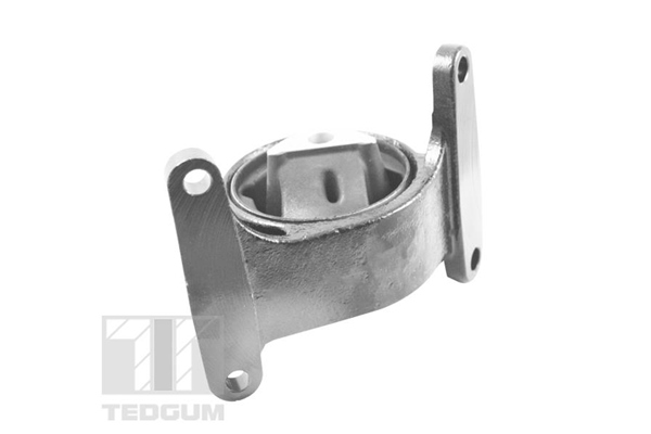 Engine Mounting - TED37845 TEDGUM