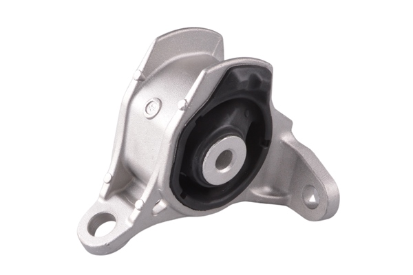 variklio montavimas - TED37880 TEDGUM