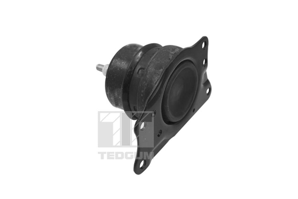 Подвеска, двигатель - TED40385 TEDGUM