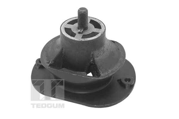 variklio montavimas - TED40521 TEDGUM