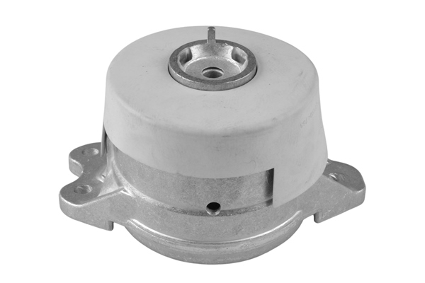 Engine Mounting - TED42670 TEDGUM