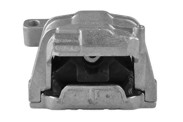 Sospensione, Motore - TED42892 TEDGUM