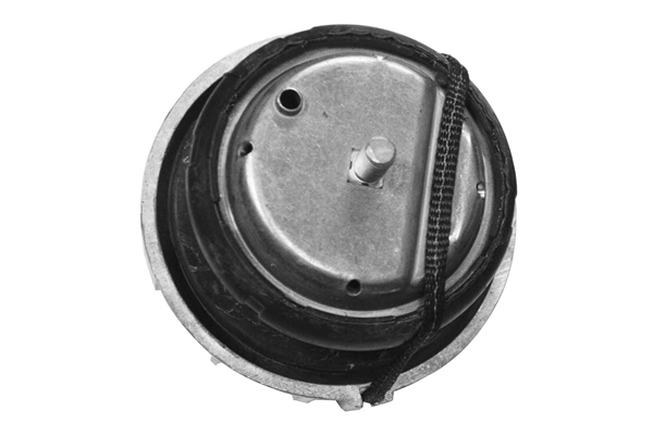 Sospensione, Motore - TED46098 TEDGUM