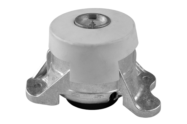 Sospensione, Motore - TED46349 TEDGUM