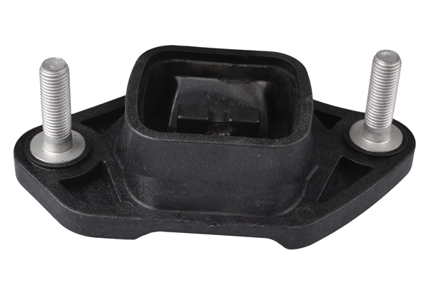 Sospensione, Motore - TED46520 TEDGUM