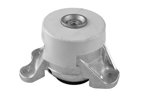 Sospensione, Motore - TED46809 TEDGUM