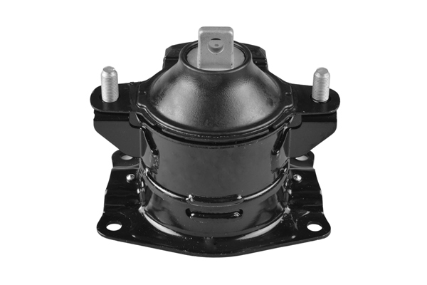 Sospensione, Motore - TED46951 TEDGUM