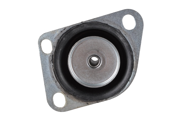 Engine Mounting - TED47058 TEDGUM