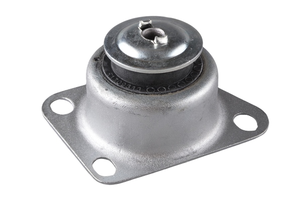 Engine Mounting - TED47058 TEDGUM