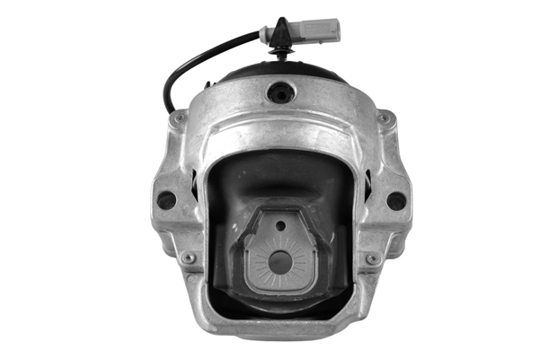 Engine Mounting - TED47943 TEDGUM
