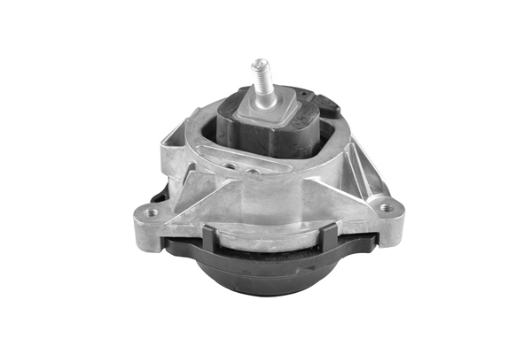 Engine Mounting - TED49670 TEDGUM