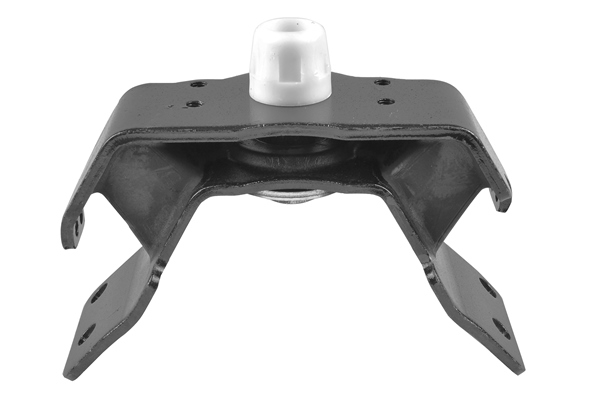 Engine Mounting - TED51769 TEDGUM