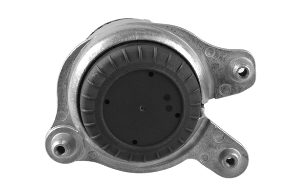 Engine Mounting - TED53873 TEDGUM