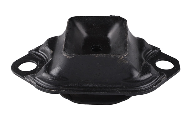 Engine Mounting - TED55030 TEDGUM
