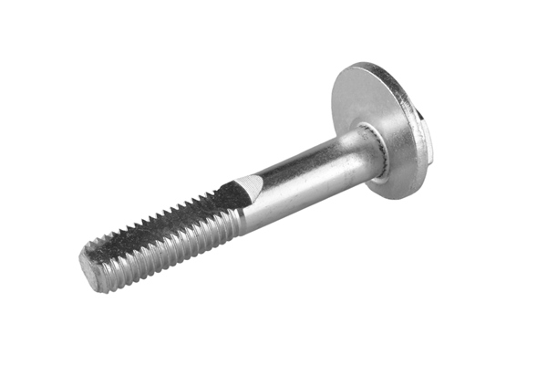 Camber Correction Screw - TED55072 TEDGUM