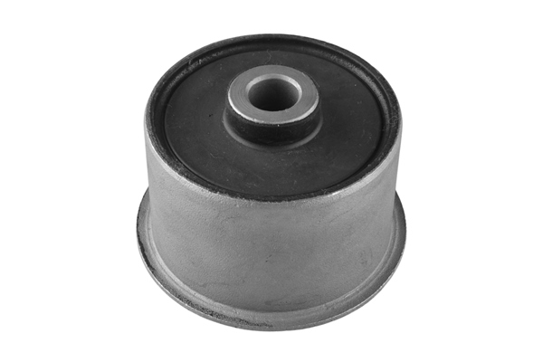 Mounting, axle beam - TED56066 TEDGUM
