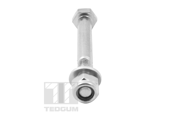 Screw - TED56233 TEDGUM