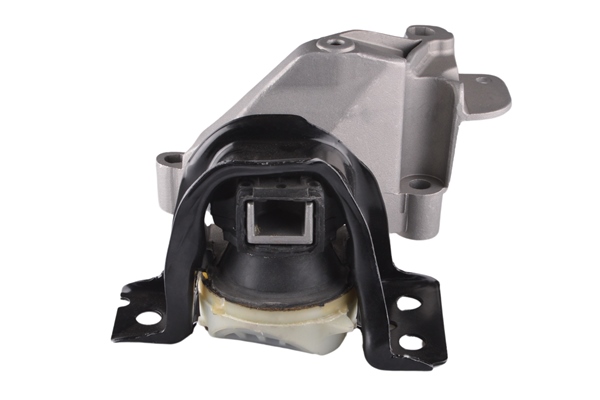Engine Mounting - TED60891 TEDGUM