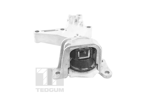 Подвеска, двигатель - TED61737 TEDGUM