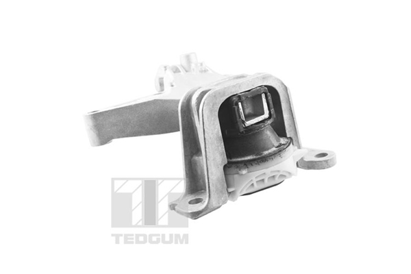 Engine Mounting - TED61737 TEDGUM