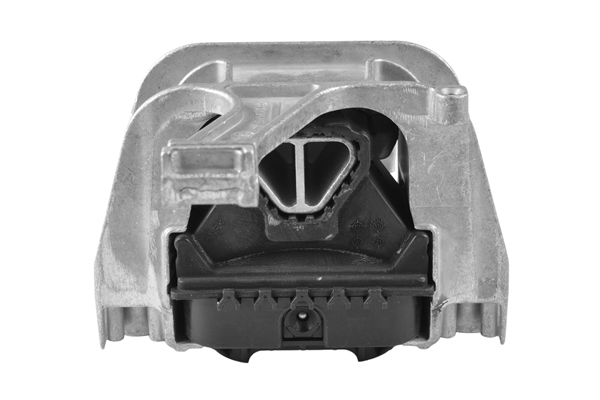 Sospensione, Motore - TED63741 TEDGUM