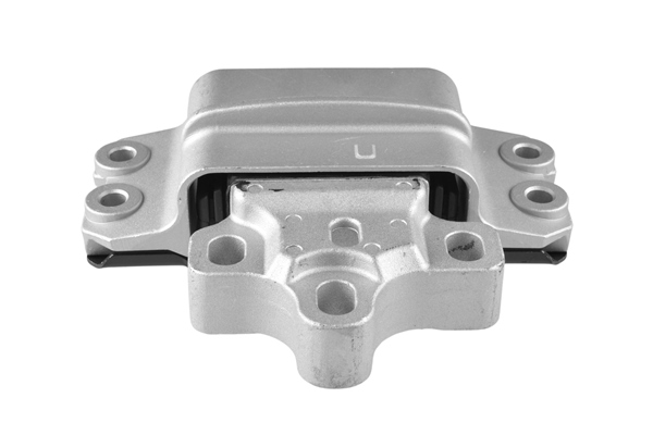 variklio montavimas - TED63933 TEDGUM