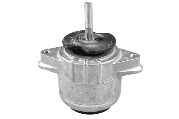 Sospensione, Motore - TED72741 TEDGUM