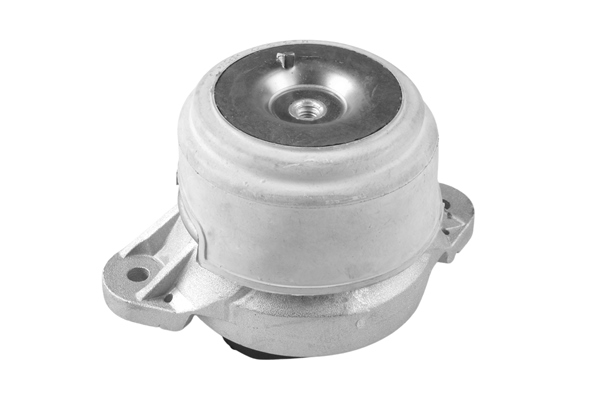 Sospensione, Motore - TED79851 TEDGUM