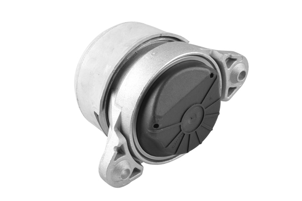 Sospensione, Motore - TED79851 TEDGUM