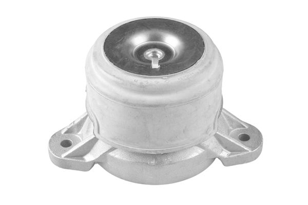 Sospensione, Motore - TED79851 TEDGUM
