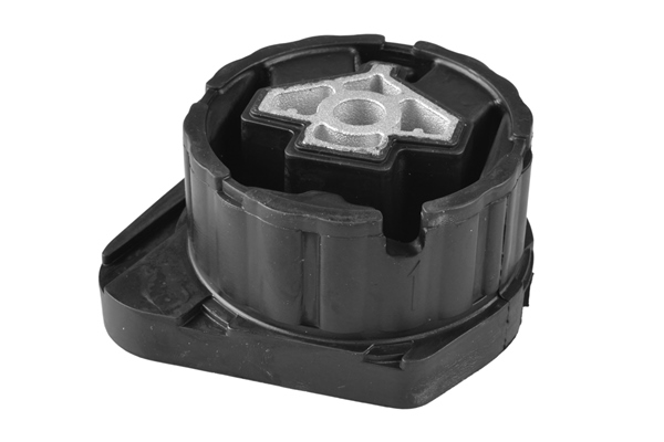 Sospensione, Motore - TED80165 TEDGUM