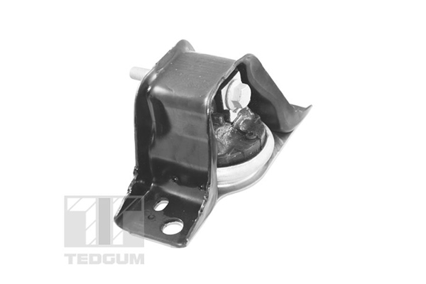Sospensione, Motore - TED84297 TEDGUM