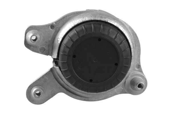 Engine Mounting - TED84941 TEDGUM