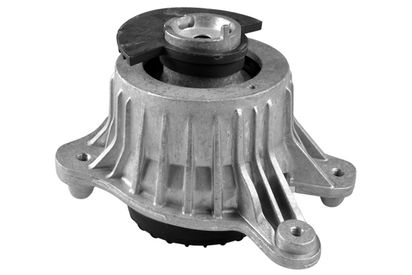 variklio montavimas - TED84941 TEDGUM