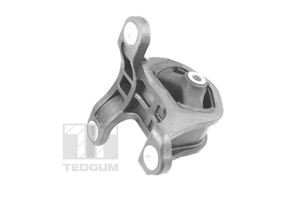 Engine Mounting - TED95218 TEDGUM