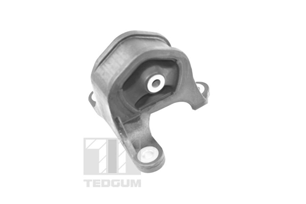 Engine Mounting - TED95218 TEDGUM