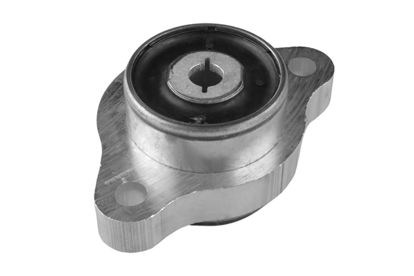 Control Arm-/Trailing Arm Bush - TED95919 TEDGUM