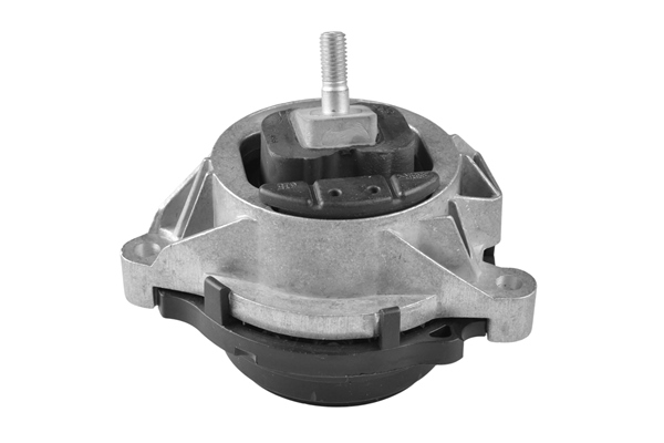 Sospensione, Motore - TED97586 TEDGUM
