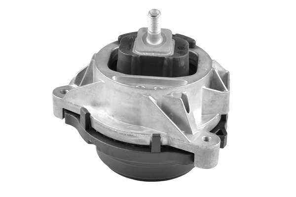 Sospensione, Motore - TED98030 TEDGUM
