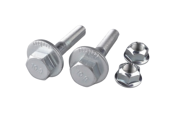 Camber Correction Screw - TED99574 TEDGUM