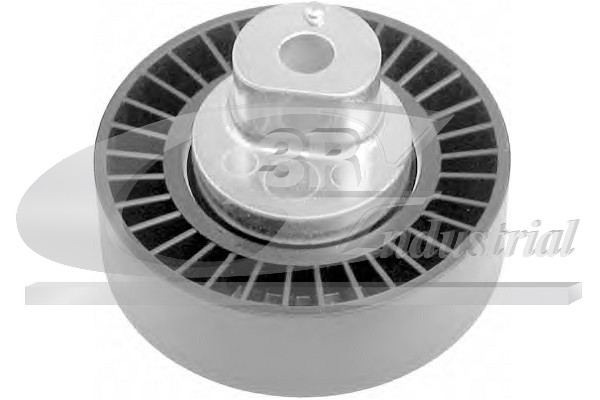 Galoppino/Guidacinghia, Cinghia Poly-V - 13102 3RG