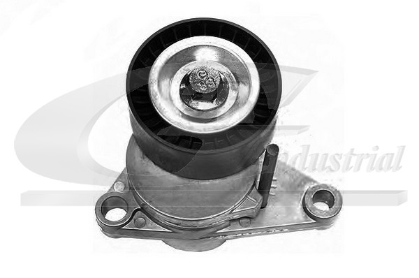 Braccio tenditore, Cinghia Poly-V - 13201 3RG