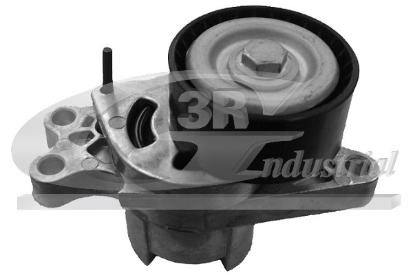 Tendicinghia, Cinghia Poly-V - 13202 3RG
