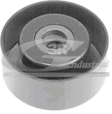 Galoppino/Guidacinghia, Cinghia Poly-V - 13206 3RG