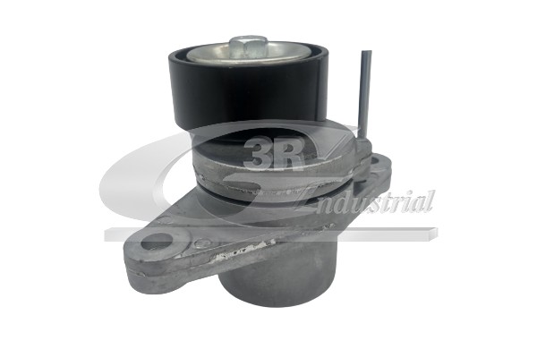 Tendicinghia, Cinghia Poly-V - 13661 3RG
