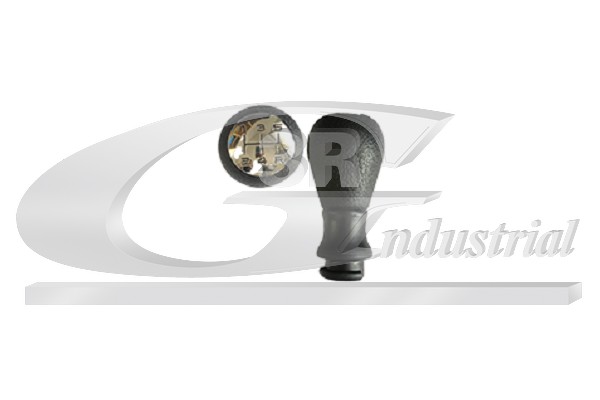 Gear Knob - 25216 3RG