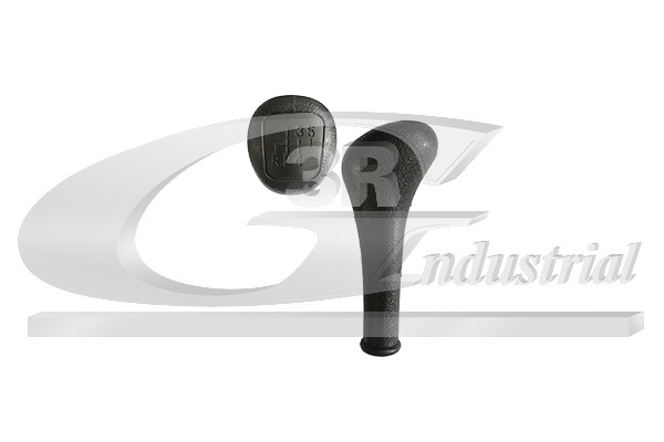 Pomello leva cambio - 25504 3RG